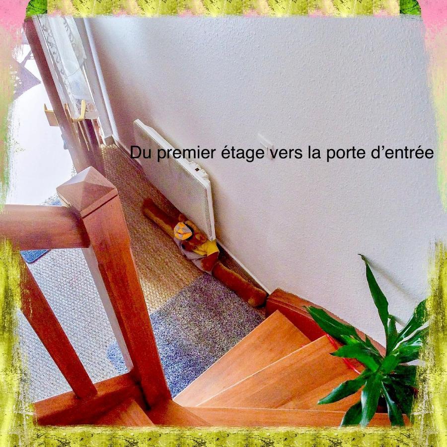 Résidence des lentilles Schiltigheim Esterno foto
